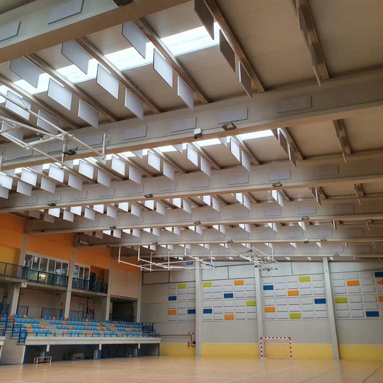 PABELLON DEPORTIVO ROA DE DUERO