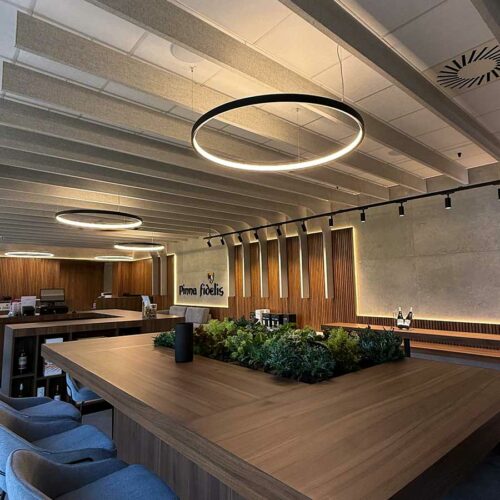 SOLUCIONES-ACUSTICAS-PINNA-FIDELIS-BODEGA